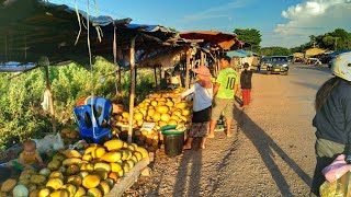 ທ່ຽວຕະຫຼາດນາສະອາດ ຊື້ຫນໍ່ໄມ້ກະແສນ 🌱 เที่วตลาดสดนาสะอาด สปป ลาว หน่อไม้, หมากแตง...เยอะมาก อาหารลาว