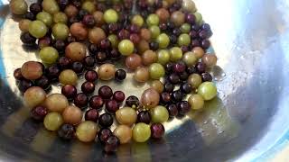 LET'S MAKE HOMEMADE WINE! COUNTRY STYLE