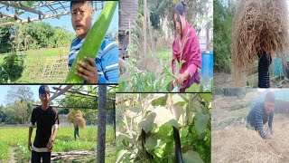 Esana thajaba ingkhol gi mahei mapung farakpagi khunungaise//Mapa macha laubukta khatnakhre