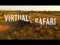 Virtual Safari - Africa 2020