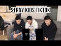 FNF Reacts to Stray Kids Tik Tok Compilation for  @daimozone | Kpop Reaction