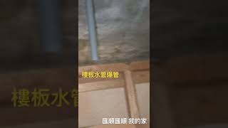 案例64: 抓漏 樓板水管爆管 漏水 實況