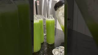 Juicing green apples 🍏 and celery #healthy #explorepage #foryou #youtubeshorts #juice #health