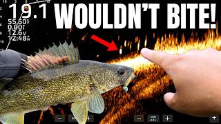 Redemption on One of My Toughest Walleye Lakes (WE FINALLY FIGURED THEM OUT!)