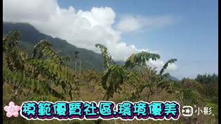 🌳🌹興隆社區依山看海美景農地🌹🌳 🔥🔥售價1️⃣0️⃣4️⃣0️⃣萬🔥🔥 #台東好房不動產楊筱晞 #楊筱晞台東買房 #台東賣房 #台東不動產買賣 #台東建地買賣 #台東農地買賣 #包租代管 #買賣租賃