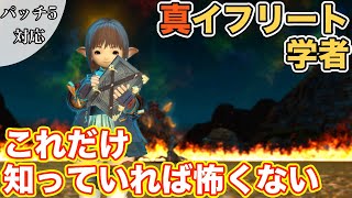 【FF14】真イフリートに学者(ヒーラー)で挑戦【これだけ知っていれば怖くないヒーラー編 2021年版】