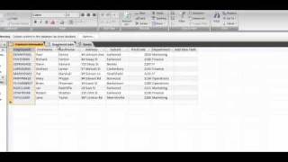 Tutorial on: Data Dictionary, Schema, Primary and Foreign Keys, Data Validation