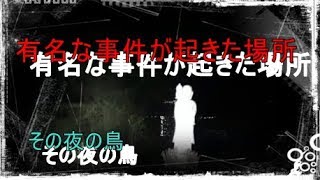 心霊スポット　入の谷津橋 その夜の鳥　２０３夜