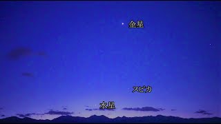 明け方の空に水星が見えています（SONYα7SⅢリアルタイム動画）