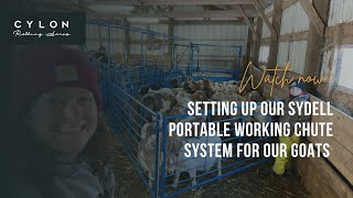 Setting up our Sydell working chute system for our goats and sheep