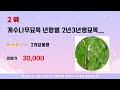 계수나무묘목판매 인기 추천 리뷰 top5