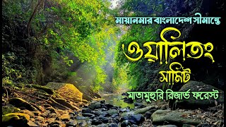 মাতামুহুরী রিজার্ভ ফরেস্ট | পর্ব-৩ | ওয়ালি তং সামিট