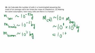 1-35: Estimation