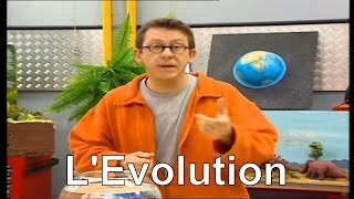 A quoi est due l'évolution ? - C'est pas sorcier