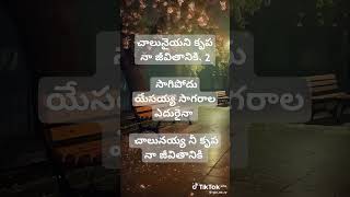 ఈ సాయంత్రం దేవుని మాట నీ కుటుంబీకులు భూమి మీద పచ్చకవలేనందురు