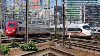 Thalys \u0026 ICE Traveling at High Speed @Leuven