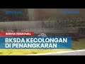 BKSDA Akui Kecolongan Ambo Buat Konten dengan Buaya Riska di Penangkaran