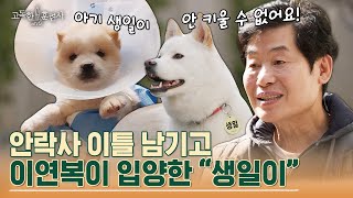 이연복 셰프가 안락사 직전에 데려온 강아지 '생일이' 작명 센스 ㄷㄷ #고독한훈련사 | tvN STORY 230406 방송