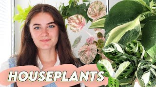 My Top 7 Best Houseplants🌱Prettiest Indoor Plants