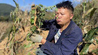 纯正的山货，朴实的山里人，你们见过吗？