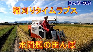 水問題の田んぼの稲刈り・タイムラプス動画　田んぼ・2021　20210910