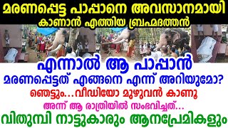 തന്റെ പാപ്പാനെ അവസാനമായി കാണാൻ എത്തിയ ബ്രഹ്മദത്തൻ എന്നാൽ അദ്ദേഹത്തിന് എന്താ സംഭവിച്ചത് എന്ന് അറിയണോ?