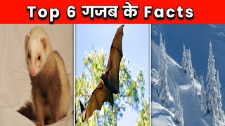 Top 6 गजब के Facts | Amazing Facts In Hindi |Top 6 Amazing Facts|Amazing Facts| #shorts #shortsvideo
