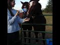 deaf cowgirl and horse trainer