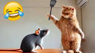 Funniest Animals 😄 New Funny Cats and Dogs Videos 2024 😹🐶 #758