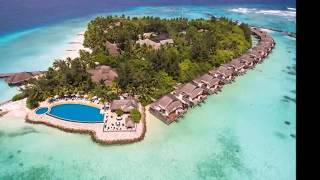 Vivanta By Taj   Coral Reef || MALDIVES RESORT