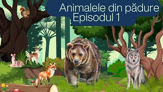 Animalele din pădure. Episodul 1