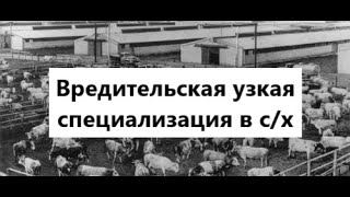 Контрреволюция в СССР. Часть 25. Вредительские изменения в с/х в 70-е