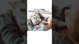 猫の秘密が本当に可愛すぎてwww猫好きなら共感する猫の秘密5選を大暴露🤫