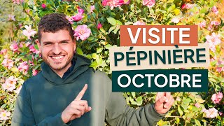 😍 Les couleurs d’octobre à la pépinière sont juste incroyables 🍂 (vous allez craquer !)