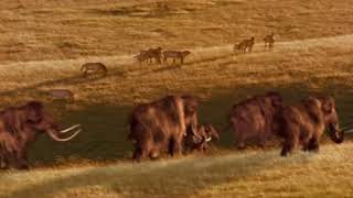 Land Of The Mammoth Prehistoric Horses