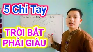 GIÀU SANG PHÚ QUÝ Khi Sở Hữu 5 Dấu Hiệu CHỈ TAY Này/ Xem Chỉ Tay| Cậu Thành Tử Vi( 0916.188.251)