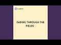 Fading through the Fields