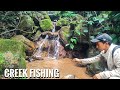 Creek Fishing EP:2 || Arunachal Pradesh || Northeast India