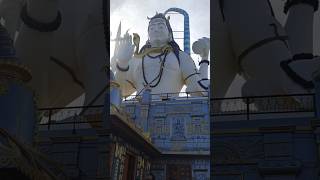 Char Dham Temple|South Sikkim|Namchi|Gangtok|Viral Videos|Trending Videos| Shorts|YouTube Shorts|