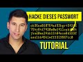 HACKEN LERNEN: Passwörter knacken (Tutorial & Challenge)