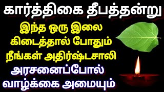 கார்த்திகை தீபம் - இந்த 1 இலை கிடைத்தால் நீங்கள் அதிர்ஷ்டசாலி,ராஜ வாழ்க்கை அமையும்#karthigaideepam