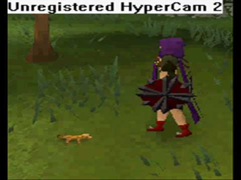 How to catch a Gecko on RuneScape? (Different colors!!) How to catch a Gecko on RuneScape? (Different colors!!)