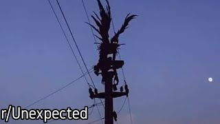 r/Unexpected | That shouldn't be there...