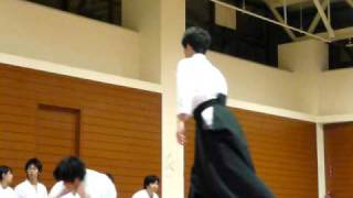 aikido do