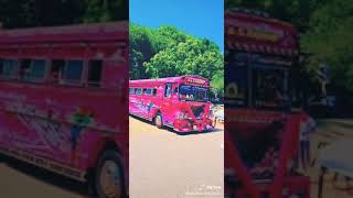 දම් රැජිණි බස්  එක අනුරාධපුර ආව මොහොතsri Lanka modified bus Dam Regina new short video