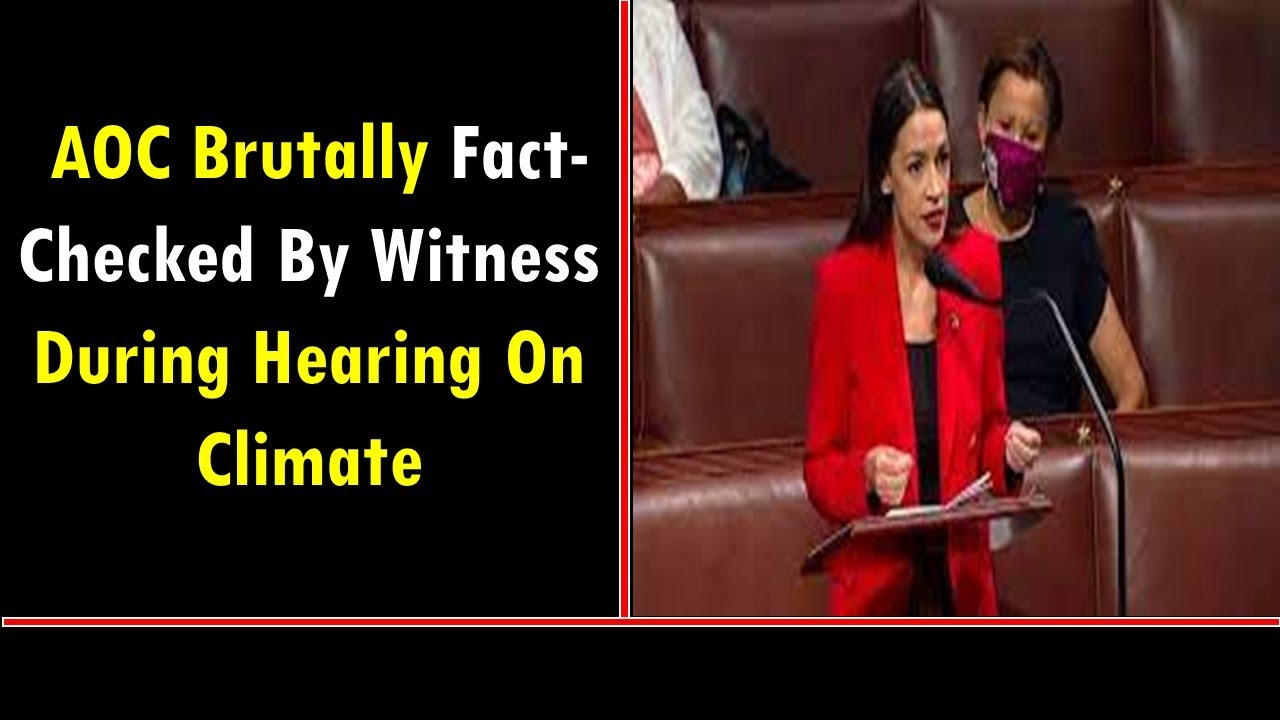 AOC Brutally Fact-Checked By Witness During Hearing On Climate - YouTube