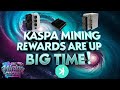 Kaspa KAS Mining Rewards ARE UP ! KRC-20 Hype Is Back! Time To Plug Back In For Now! Whats Going On?