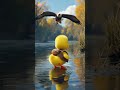 a duck that wants to fly like an eagle duck cuteducks cuteanimals