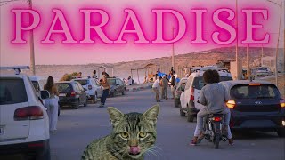 PARADISE     -     MOROCCO     -     SURF skate hippie village imsouane  taghazout agadir    2024