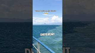 The Place Where Two Oceans Meet